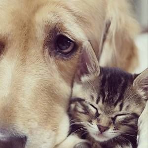 Meet your Posher, Edwina